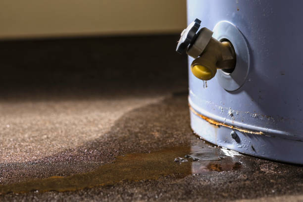 Best Flood damage cleanup  in Grundy Center, IA