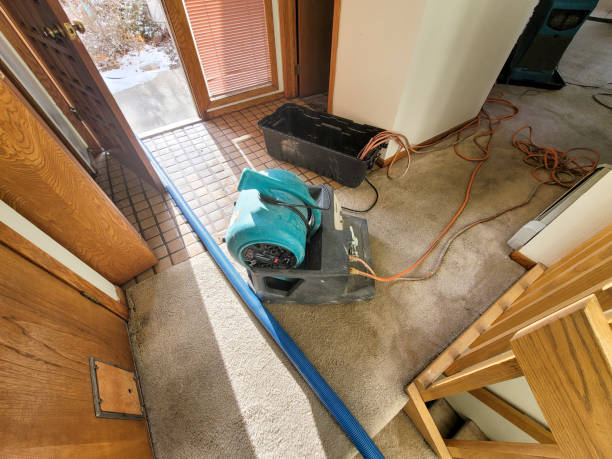 Best Water damage cleanup near me  in Grundy Center, IA