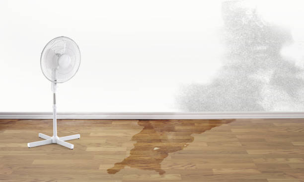 Best Basement water damage restoration  in Grundy Center, IA