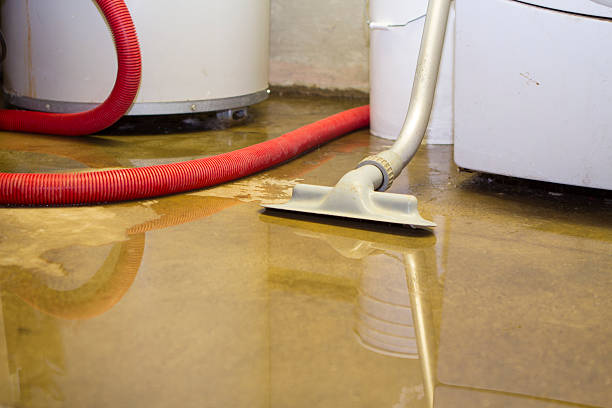 Best Basement water damage restoration  in Grundy Center, IA