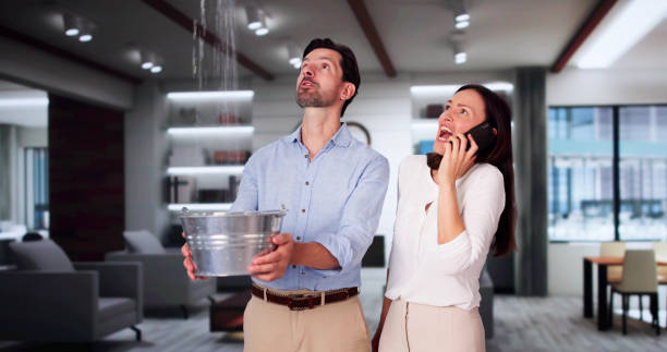Best Mold removal after water damage  in Grundy Center, IA