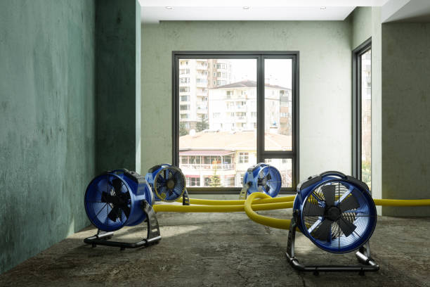 Best Mold removal after water damage  in Grundy Center, IA