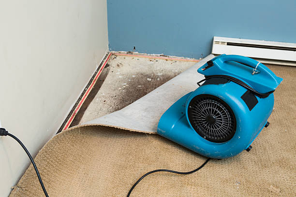 Best 24/7 water damage repair  in Grundy Center, IA
